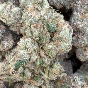 Elite Boutique Exotics Rapper Weed - Bulk - Hybrid