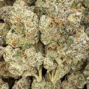 Elite Boutique Exotics Dirty Sprite - Bulk - Hybrid