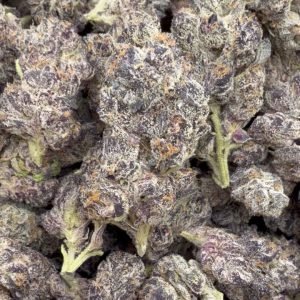 Indoor Exotic Purple Jack - Bulk - Hybrid