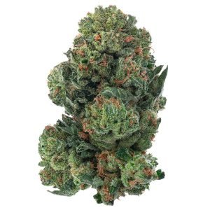 Alien OG - 4 Grams - Indica
