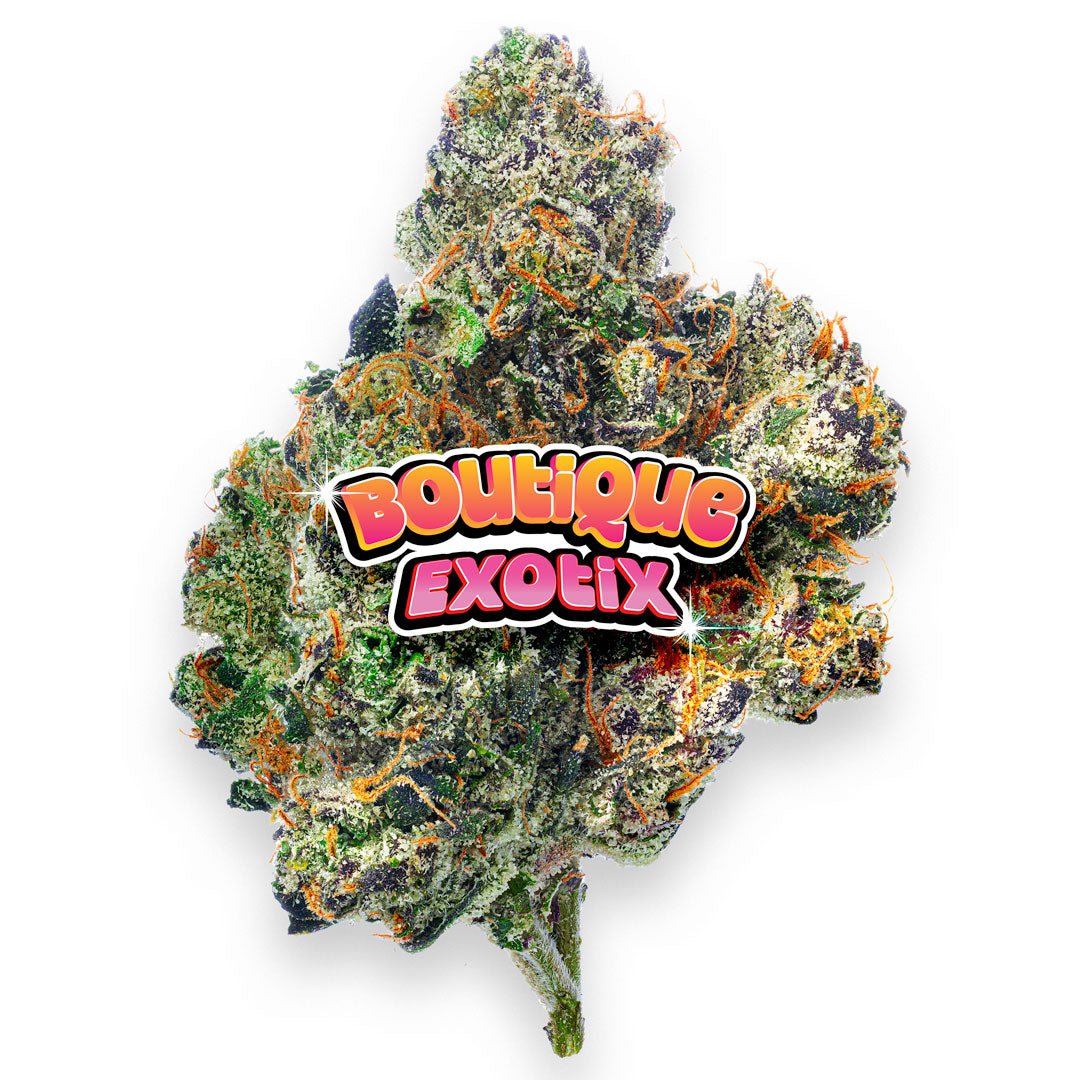 Boutique Exotics - Obama Runtz - 4 Grams - Hybrid