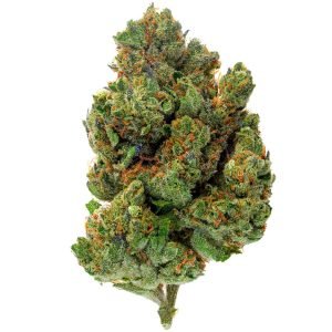 Chocolate Diesel - 28 Grams - Hybrid