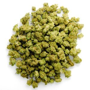 Gary Payton - Minis - 14 Grams - Hybrid