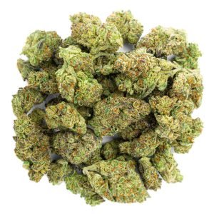 Girl Scout Cookies - Indoor - 14 Grams - Indica