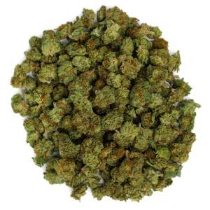 Hashburger - Minis - 14 Grams - Indica
