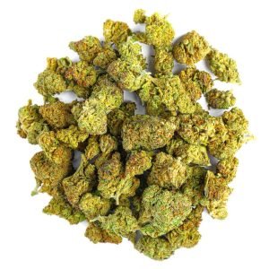Biscotti Cake - 28 Grams - Hybrid
