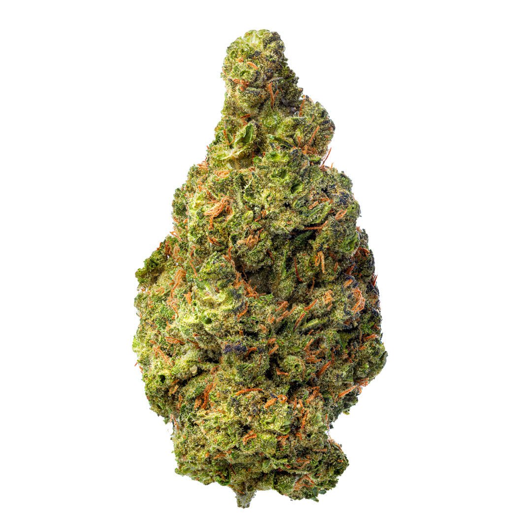 Biscotti Cake - 28 Grams - Hybrid - Image 2